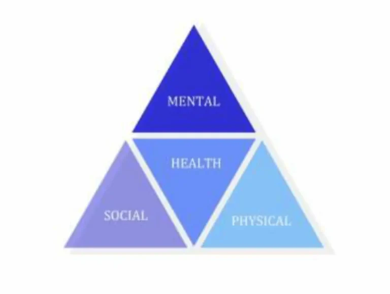 Understanding the Health Triangle: A Complete Guide to Balanced Wellbeing